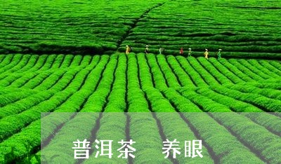 普洱茶 养眼/2023042848146